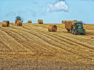 farm hay-bales-351213__340